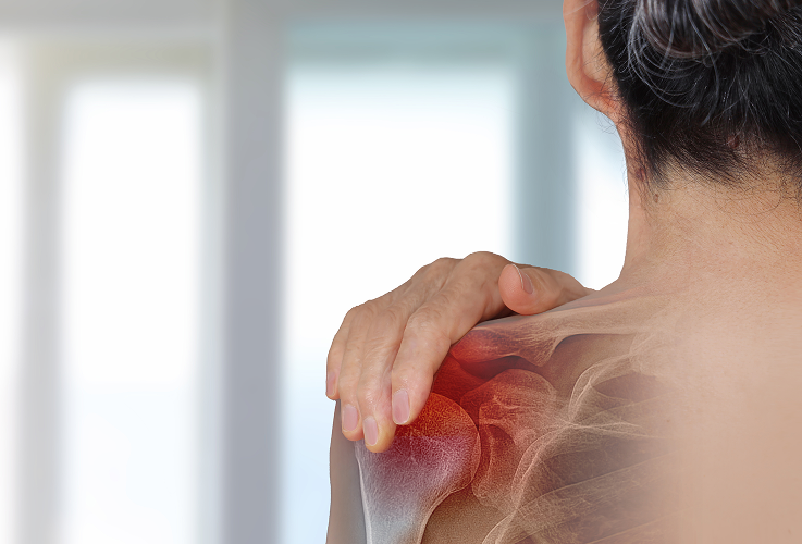 FBT 주사 특징 설명 이미지