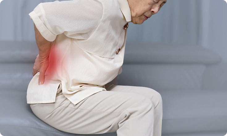 근본정형외과의원 목, 허리 통증의 주요원인