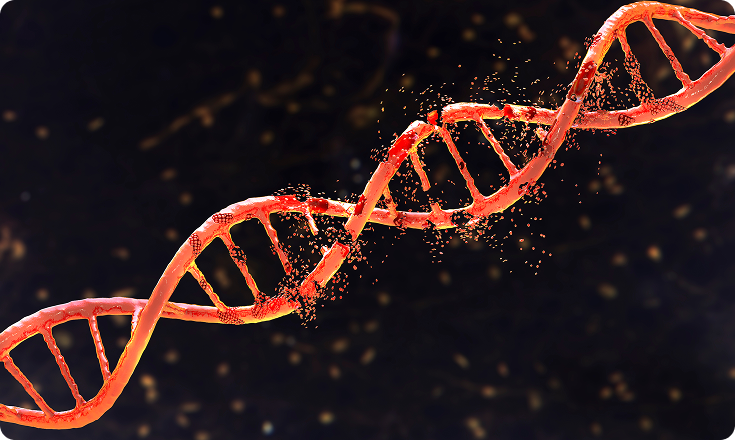 근본정형외과의원 어깨 질환의 주요원인