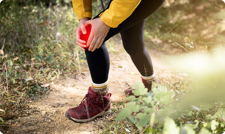 근본정형외과의원무릎 질환의 주요원인
