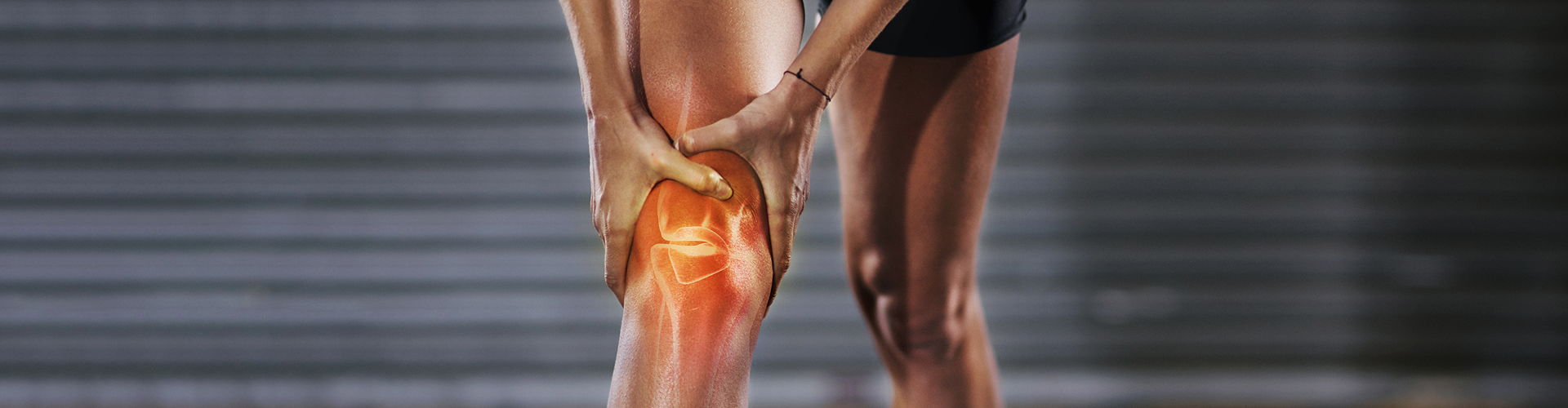 근본정형외과 근본 주요 치료 질환 설명 이미지