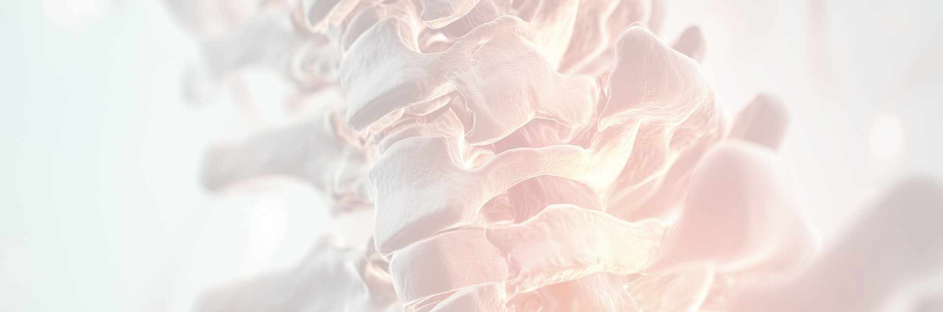 근본정형외과 근본 주요 치료 질환 메인 배너