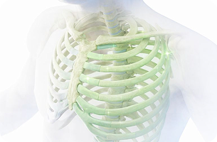 근본정형외과 SoDDA 주사 장점 이미지