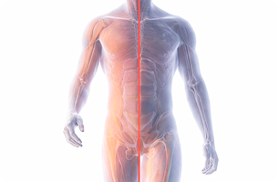 근본정형외과 FBT 주사 장점 이미지
